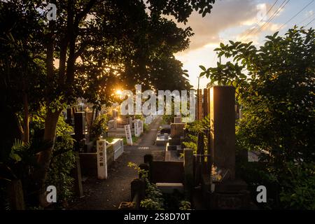 Monuments by a pathway in Yanaka Cemetery, Tokyo,  looking through trees to the setting sun Stock Photo