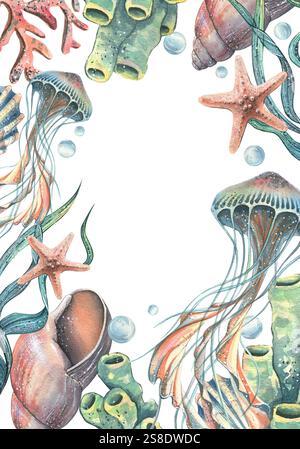 Jellyfish, corals, sea sponges, algae, shells, starfish and bubbles. Hand drawn watercolor illustration on the theme of sea animals and the underwater Stock Photo