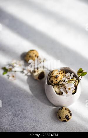 A quail eggs nestled in a white ceramic bowl with delicate cherry blossoms, symbolizing the freshness and renewal of the Easter holiday. Soft natural Stock Photo