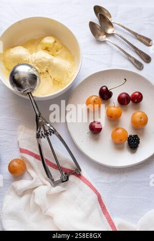 Top view of a refreshing dessert layout with a bowl of creamy vanilla ice cream, a plate of vibrant cherries, apricots, and a blackberry laid on a whi Stock Photo