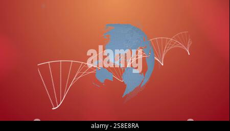 Image of dna strand spinning over globe Stock Photo