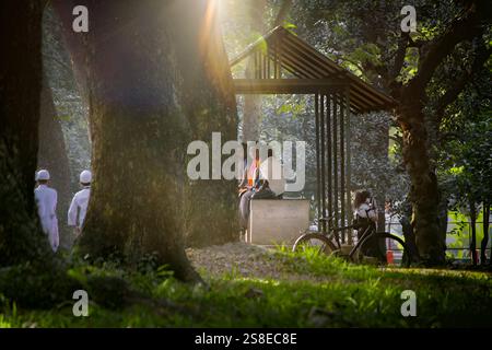 A beautiful morning in a Dhaka park, bathed in soft sunlight, highlighting the lush greenery and serene atmosphere, perfect for relaxation. Stock Photo