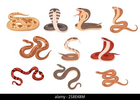Collection of snakes in different poses and colors, including coiled and slithering positions. Cartoon animal design. Vector illustration isolated on Stock Vector