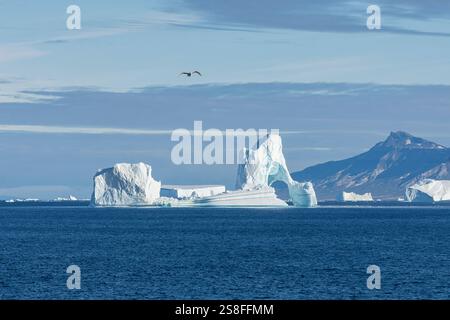 An iceberg with an arch floats in the sea. The arch is about to collapse. The collapse is documented in further pictures.Sullorsuaq Strait, Greenland Stock Photo