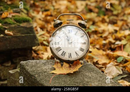 Autumn time. Alarm clock on stone in forest Stock Photo