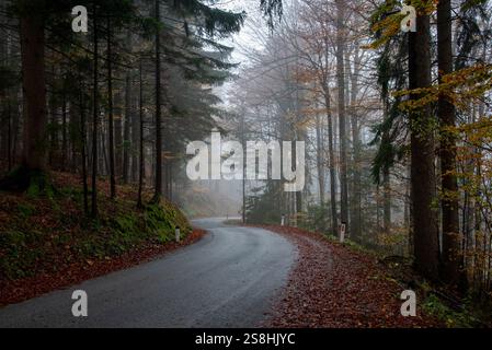 Wet asphalt road winding through a mysterious foggy forest in autumn. Julian Alps Slovenia Stock Photo