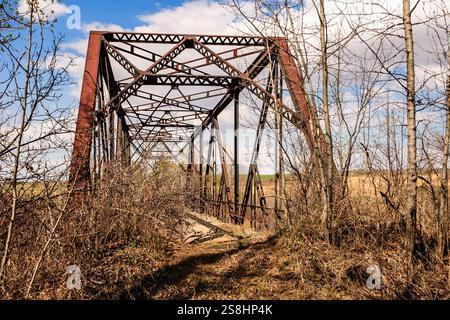 A rusted old bridge with a lot of weeds and trees in the background. The bridge is old and has a lot of rust on it Stock Photo