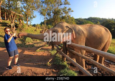 Teenager girl tourist feeding an Asian elephant in Chiang Mai region, Thailand Stock Photo