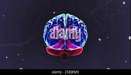 Image of digital brain spinning over mathematical equations Stock Photo ...