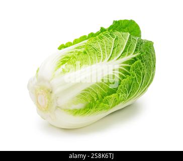 Fresh Chinese Cabbage Isolated on White Background. Stock Photo