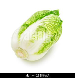 Fresh Chinese Cabbage Isolated on White Background. Stock Photo