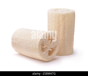 Two natural luffa bath sponges isolated on white Stock Photo