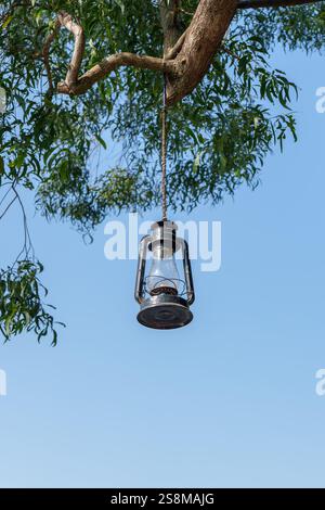 A lamp hang on the tree Stock Photo