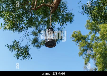 A lamp hang on the tree Stock Photo