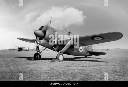 BREWSTER BUFFALO American fighter aircraft flown by No 67