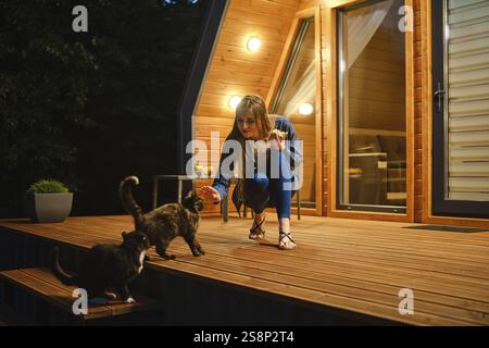 Cute woman sits on a wooden deck and playing with two curious cats Stock Photo