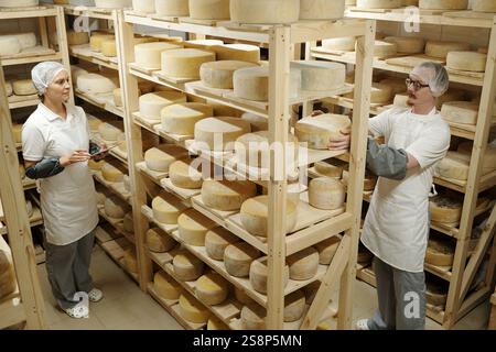 Workers inspecting large cheese wheels aging on wooden racks in spacious storage room with numerous shelves of cheese wheels visible in background Stock Photo