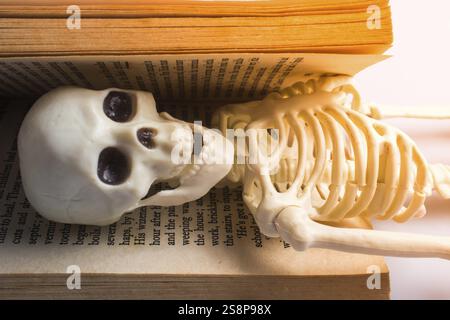 Model of artificial Human Skeleton in a book with text Stock Photo