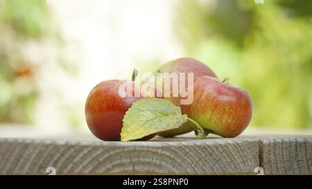 An image of three apples in the garden on a wooden table background Stock Photo