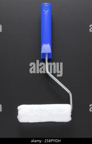 A typical painting roller isolated on black background Stock Photo