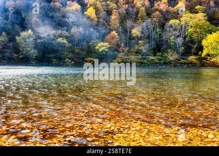 Delaware River Fall Scenic with Floating Colorful Leaves at The Water Gap, New Jersey Side Stock Photo