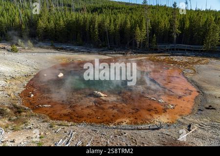 Echinus Spring in the Norris Geyser Basin, Yellowstone National Park ...