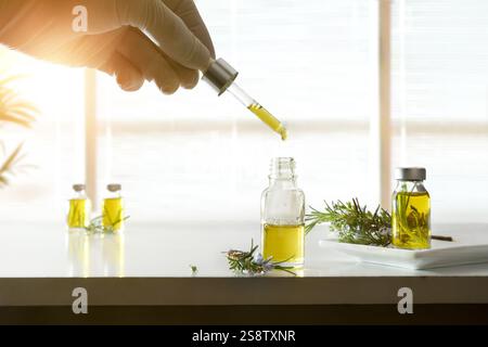 Hands with dropper in laboratory and bottles filled with rosemary extract oil on white table with twigs. Front view. Stock Photo