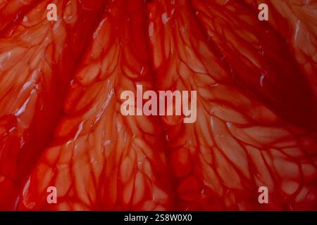 Close up of sliced ripe grapefruit, macro. Red fresh grapefruit surface background or texture. Top view Stock Photo