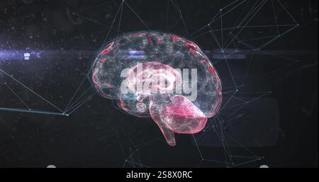 Image of digital brain over network of connections Stock Photo