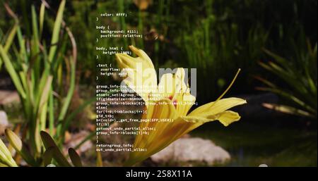Image of data processing over yellow flower and bee Stock Photo