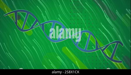 Image of dna strand and data processing over glowing light trails Stock Photo