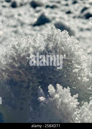 Snow Crystals Stock Photo