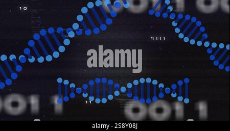 DNA strands and binary code, scientific data processing image Stock Photo