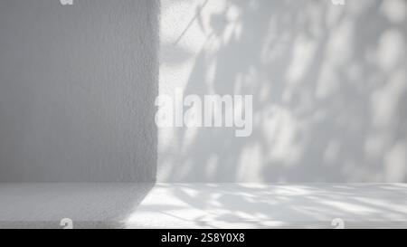Background of nature cement texture with shadow palm leaves, Well display product and text present on free space, Luxury backdrop, Empty grey cement w Stock Photo