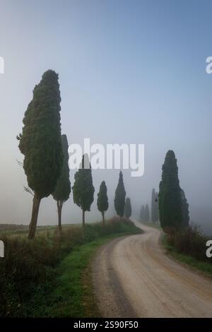 A scenic view of a road lined with trees extending into the horizon on ...