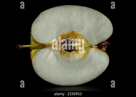This image shows a ripe apple's cross-section, revealing its white ...