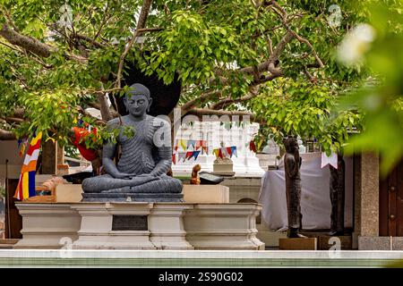 The seema malakaya temple in Colombo Sri Lanka Stock Photo