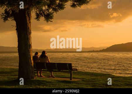 Two people sitting on a bench under a tree watching the sunset over Lake Rotorua, North Island, New Zealand Stock Photo