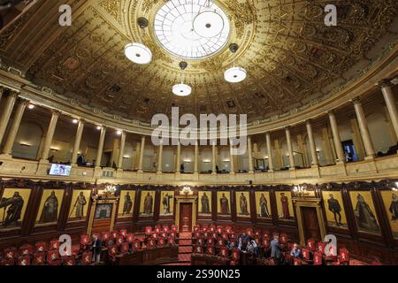 Illustration picture taken during a plenary session of the Senate at the Federal Parliament, Friday 24 January 2025 in Brussels. At this plenary session, the new members will be sworn in and a tribute will be paid to Minister of State Smet. BELGA PHOTO NICOLAS MAETERLINCK Stock Photo