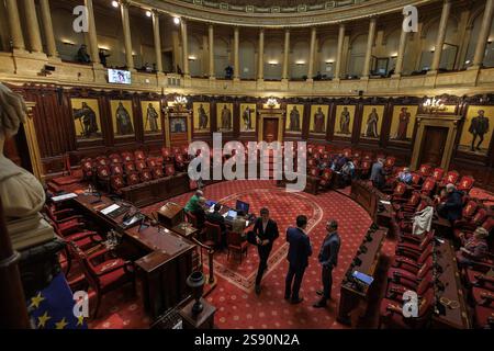 Illustration picture taken during a plenary session of the Senate at the Federal Parliament, Friday 24 January 2025 in Brussels. At this plenary session, the new members will be sworn in and a tribute will be paid to Minister of State Smet. BELGA PHOTO NICOLAS MAETERLINCK Stock Photo