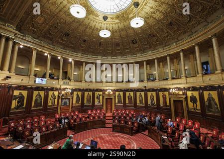 Illustration picture taken during a plenary session of the Senate at the Federal Parliament, Friday 24 January 2025 in Brussels. At this plenary session, the new members will be sworn in and a tribute will be paid to Minister of State Smet. BELGA PHOTO NICOLAS MAETERLINCK Stock Photo