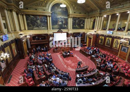 Illustration picture taken during a plenary session of the Senate at the Federal Parliament, Friday 24 January 2025 in Brussels. At this plenary session, the new members will be sworn in and a tribute will be paid to Minister of State Smet. BELGA PHOTO NICOLAS MAETERLINCK Stock Photo