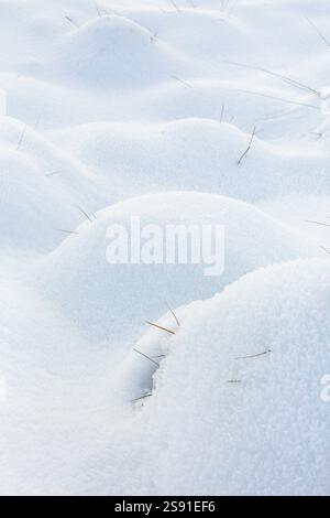 Snow mounds over grass with gentle morning light and shadows on a cold winter's day. Stock Photo