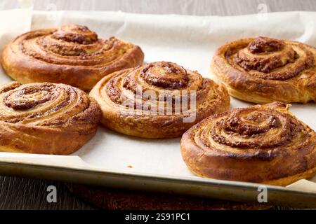freshly baked sweet cinnamon rolls Stock Photo