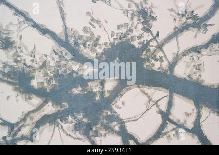 winter tree background with silhouettes shadows of the branches background texture Stock Photo
