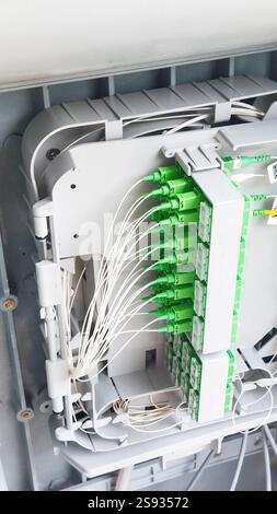 Fiber optic cables are connecting to the distribution frame in a data center, ensuring high speed data transmission Stock Photo