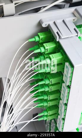 Fiber optic cables connecting to a server in a data center, ensuring high speed data transmission and network connectivity Stock Photo