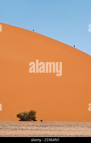Tourists climb Dune 45 in Sossusvlei in Namibia Stock Photo - Alamy