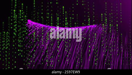 Binary code and data flow image over purple fiber optic strands Stock Photo