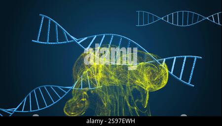 DNA strands and brain image, scientific data processing Stock Photo